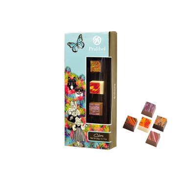 Cubes Reglette Icônes 10 Bombones 90g PRALIBEL Belgian Chocolate