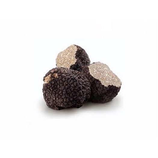 TRUFA EXTRA (Tuber Aestivum) 150g CARVI - T004 TRUFA EXTRA (Tuber Aestivum) 150g CARVI - T004
